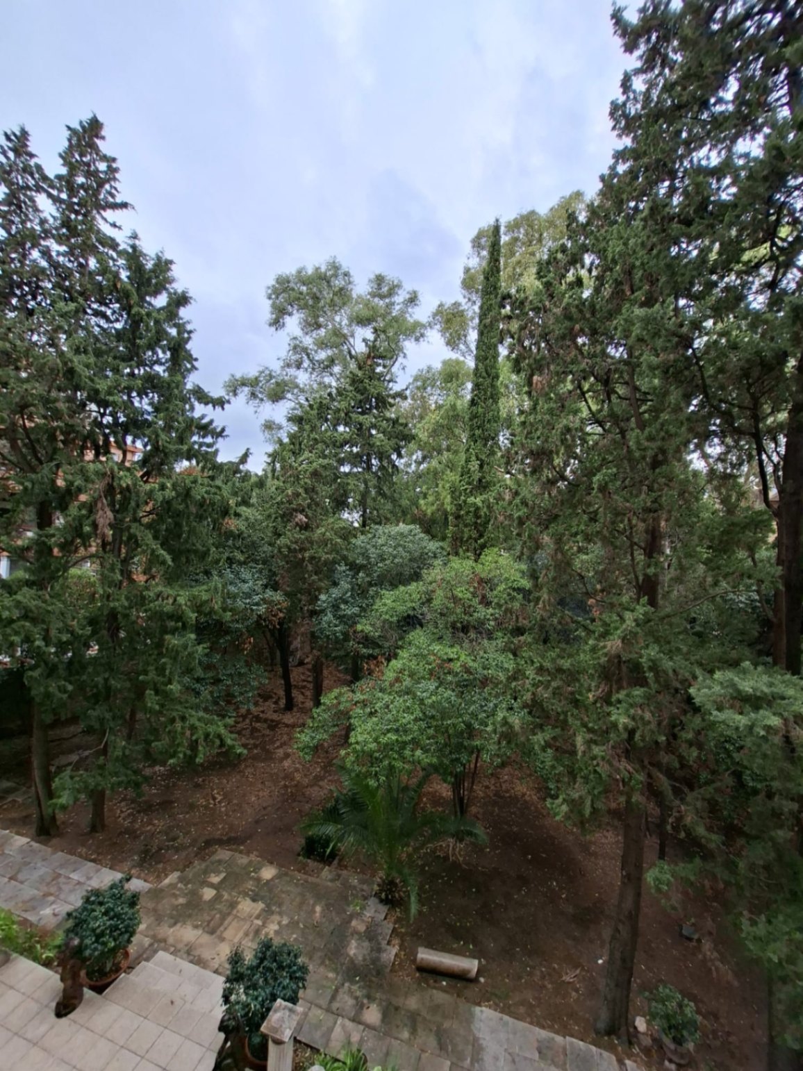 Piso venta Passeig Bonanova